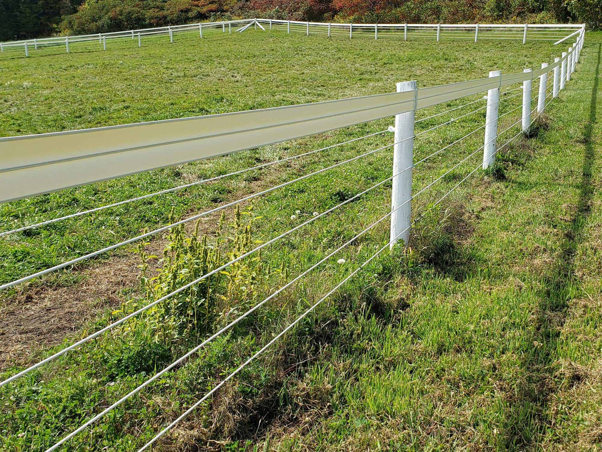 Raceline Coated Wire Flex Fence 1320' - System Equine
