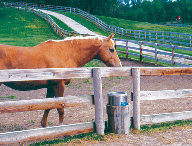 Nelson - Model 730-10S Stainless Steel Free Standing Waterer - Heater