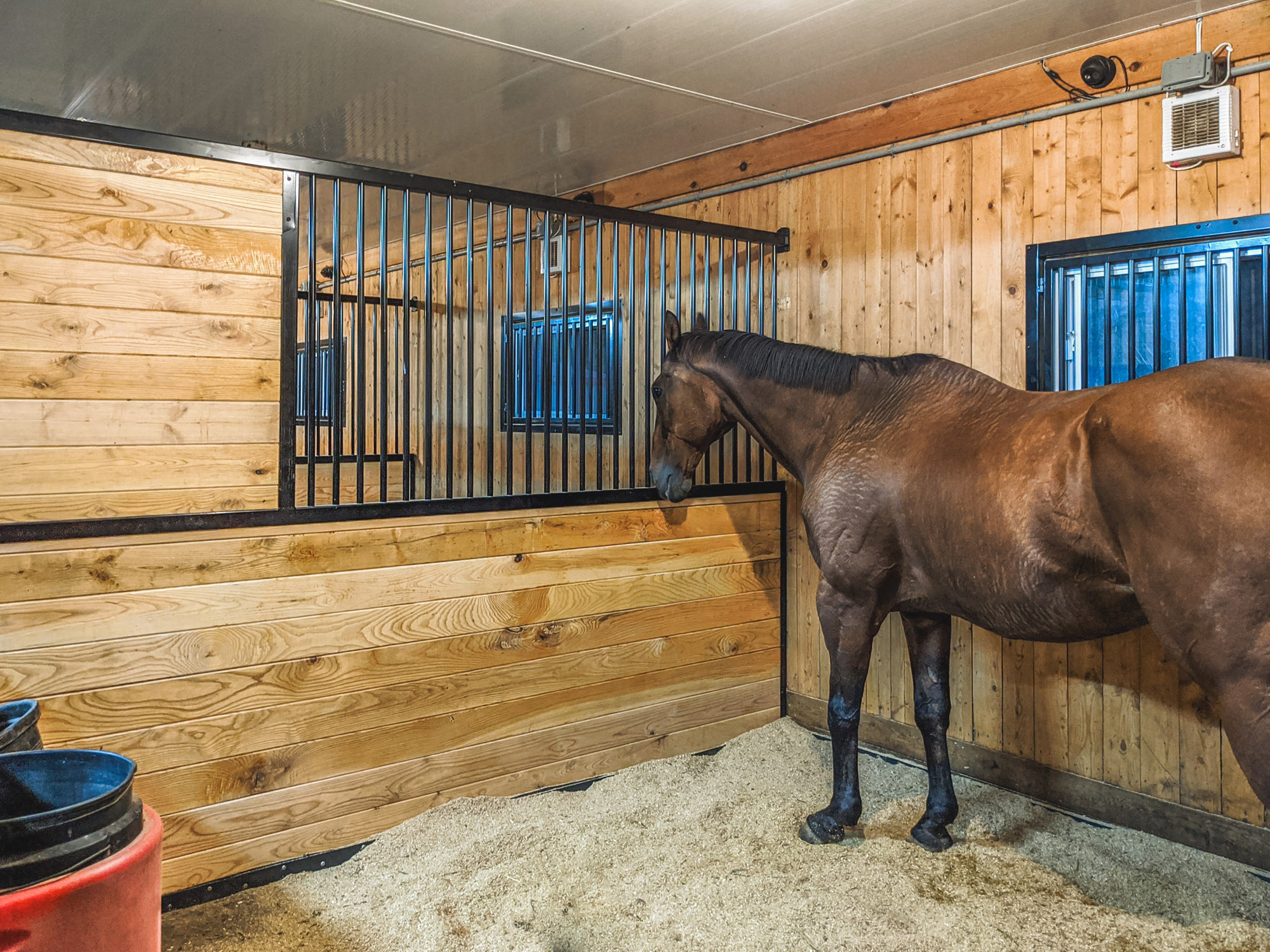 LIV Stables - System Equine