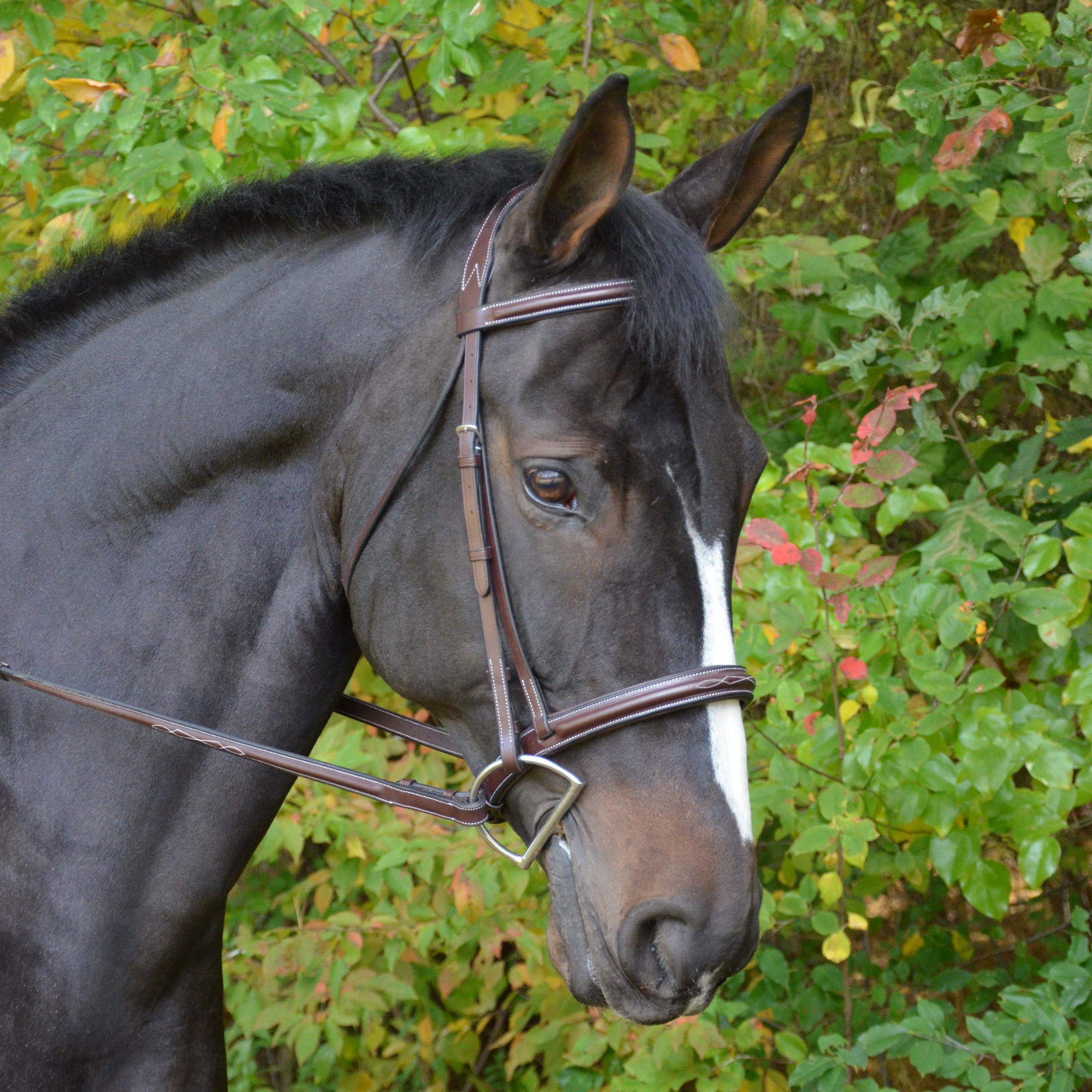 SHOWMAN Pony Size English Saddle Bridle, Raised Black Leather Headstall With Laced Reins