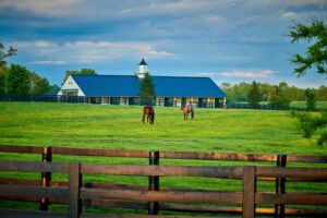 brown horse farm fencing around lush green field