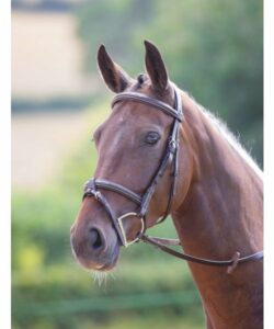 Essential Horse Tack Guide - How to Choose The Right Gear