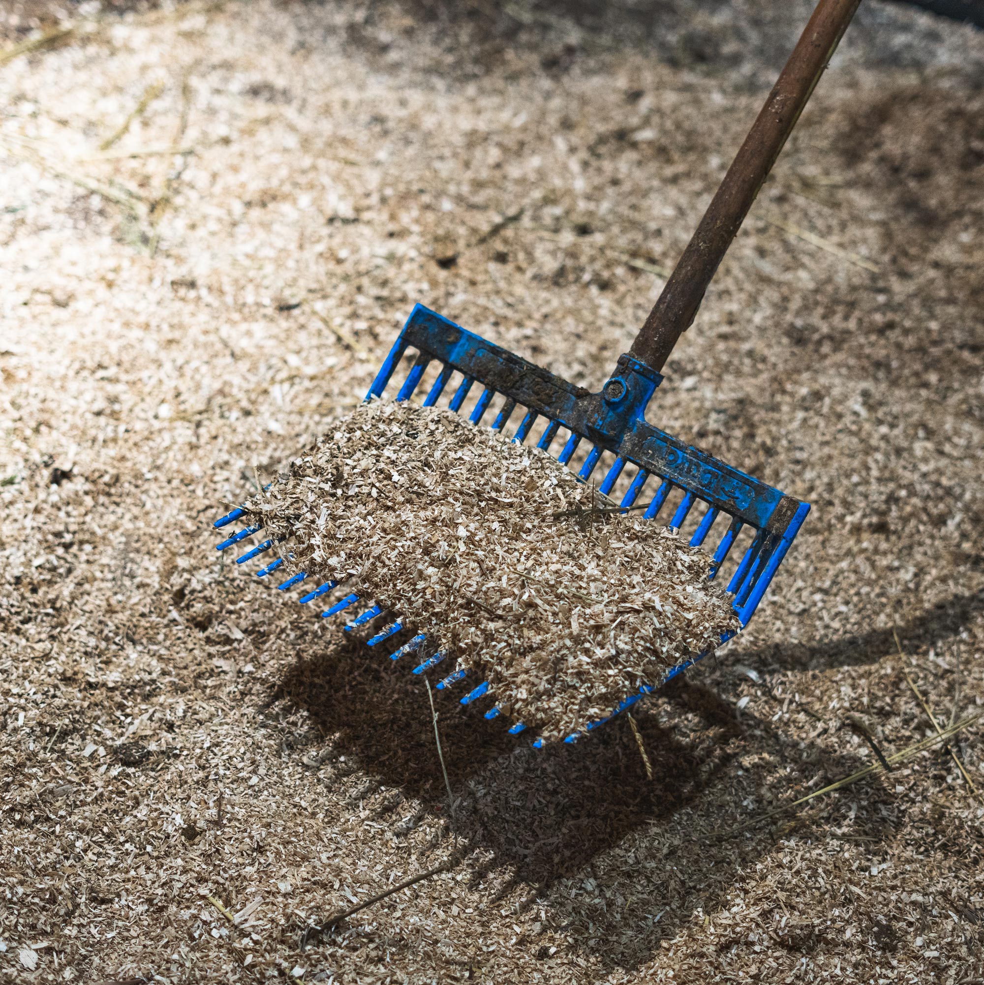 Mucking and Cleaning Keep Your Barn Clean & Efficient