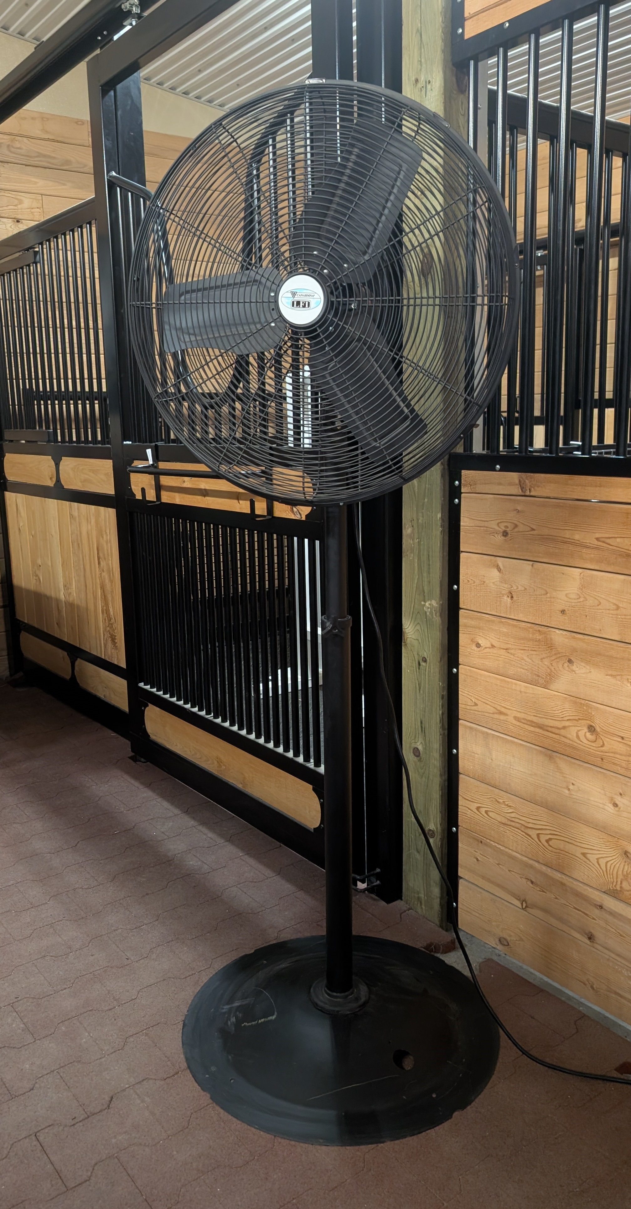 fan