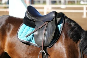 English horse tack