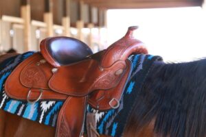 western horse tack