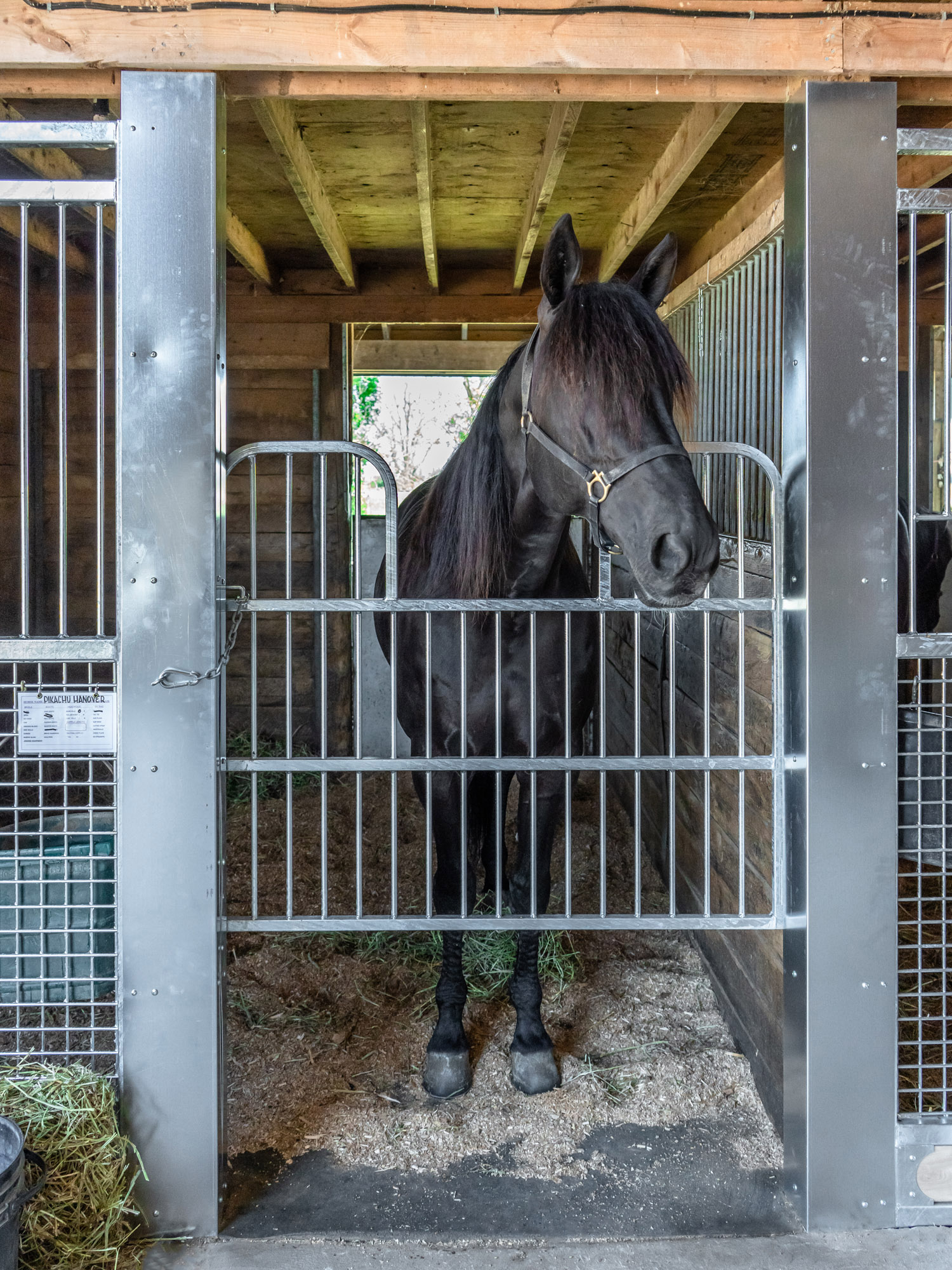 Gregg McNair Stable - System Equine