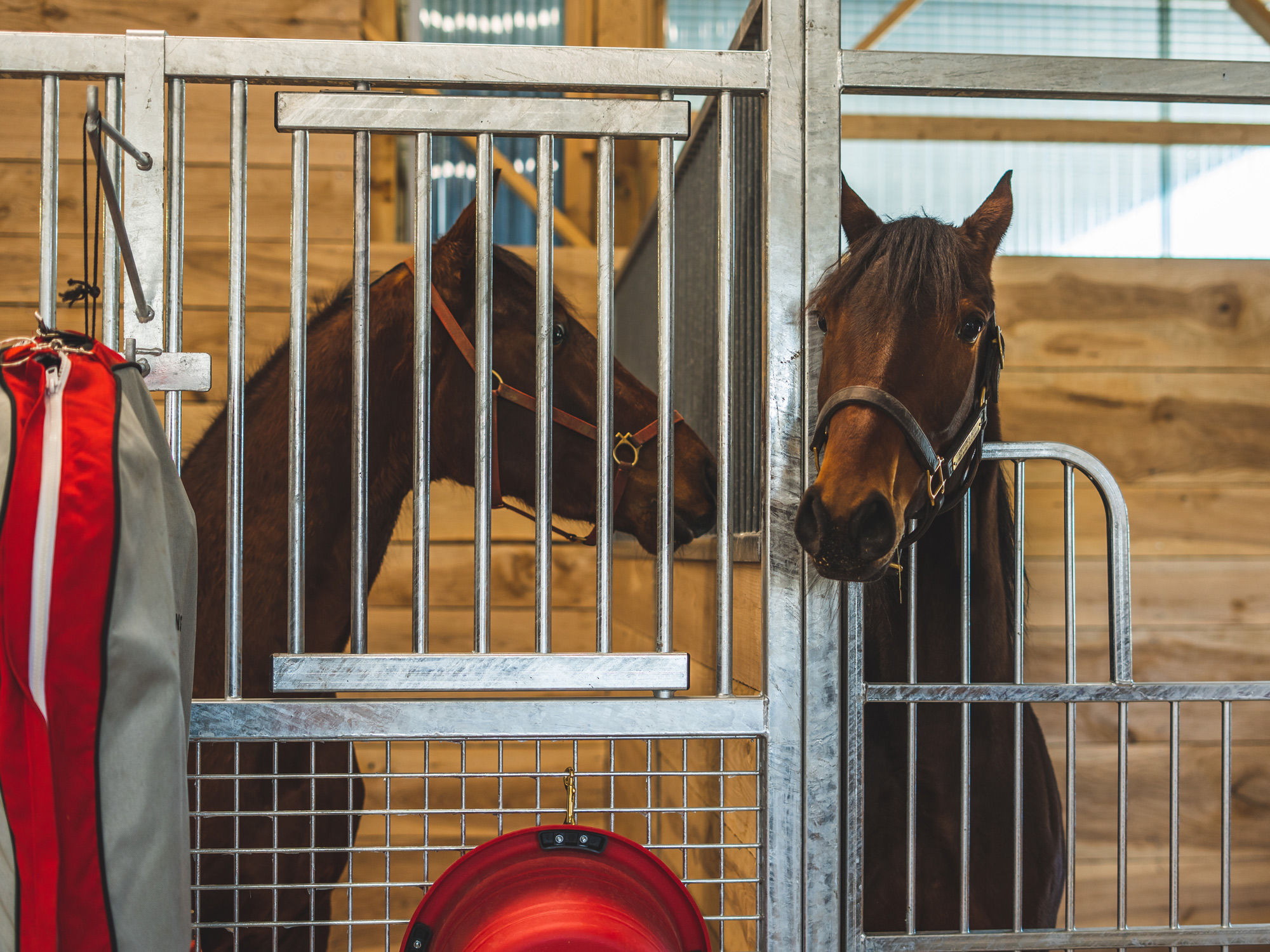 Robert Fellows Stable - System Equine