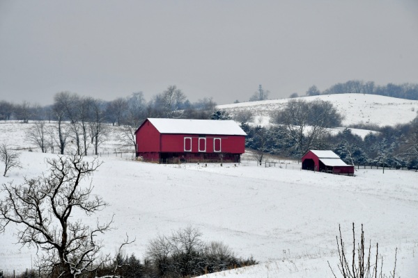 winterizing your barn - red horse barn in winter