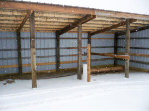 Expert Solutions to Water Horses