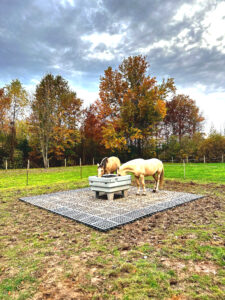 07-SSR3-paddock-control-grid10