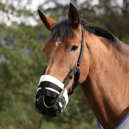 FreeGraze AirFlow Grazing Muzzle Full