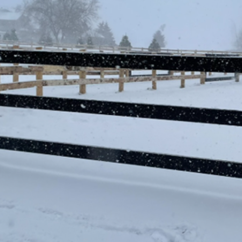 3 Rail Painted Aluminum Paddock Gate