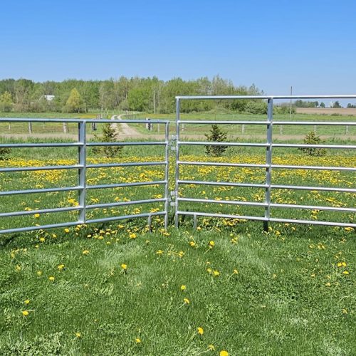 50' TN Round Pen 6 Bar Galv (5' Tall 12' Panels 13-12' Panels & 1 Gate)