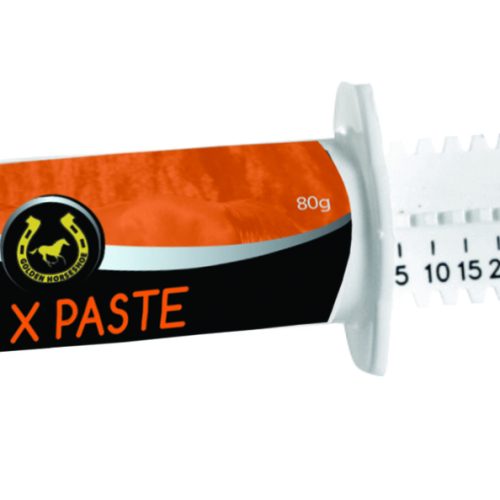 Golden Horseshoe Tie X Paste Tube