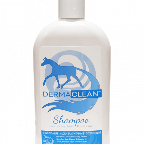 Derma Clean Shampoo 16oz