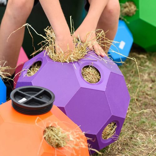 603403P-parallax-hay-play-ball2