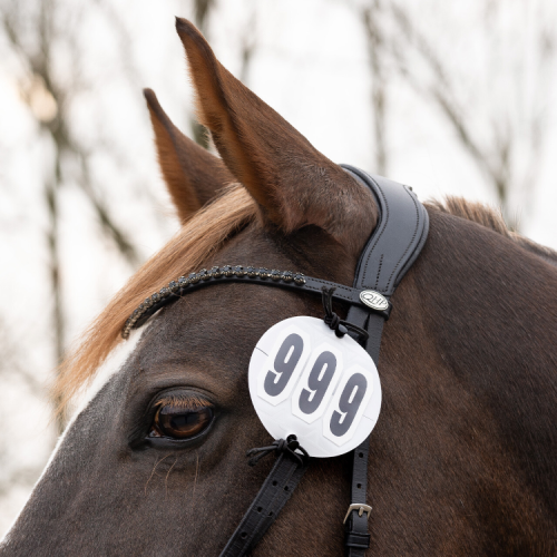 QHP Prim Number Holder (Pair)