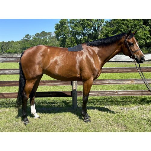 Ace Pro4mance Non-Slip Pad Black