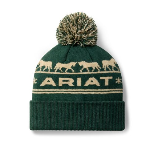 Ariat Apres Ski Beanie Green