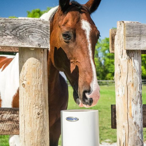 70-44-drinking-post-ultimate-automatic-horse-and-livestock-waterer1