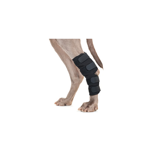 Back on Track - Dog Hock Braces